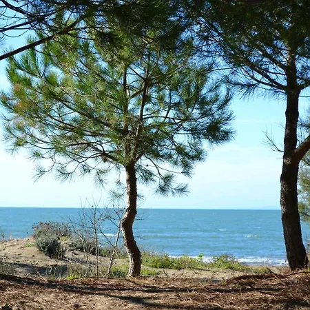 De 2 Chambres A A 50 M De La Plage Avec Piscine Partagee Et Terrasse Amenagee Daire